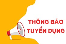 Công Ty TNHH Tư Vấn Đại Quang Minh Thông Báo Tuyển Dụng